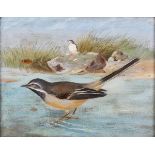 British School - Birds in Wetland Landscapes, a pair of late 19th/early 20th century oils on canvas,