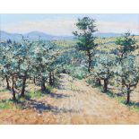 Lionel Aggett - 'Olive Grove, Umbria', pastel, signed recto, titled and dated '94 to Llewellyn