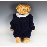 A German wood straw-filled golden plush teddy bear with amber and black eyes, stitched snout and