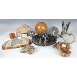 A group of polished mineral and fossil specimens, including two Madagascan fossilized wood sections,
