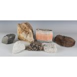 A group of large mineral specimens, including a section sandstone fossil bed from West Hoathly,