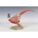 A 20th century cold painted bronze model of a pheasant, bearing spurious stamp 'NAMGREB', height