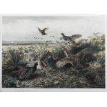 Archibald Thorburn - Grouse taking Flight, a pair of photogravures with hand-colouring, both