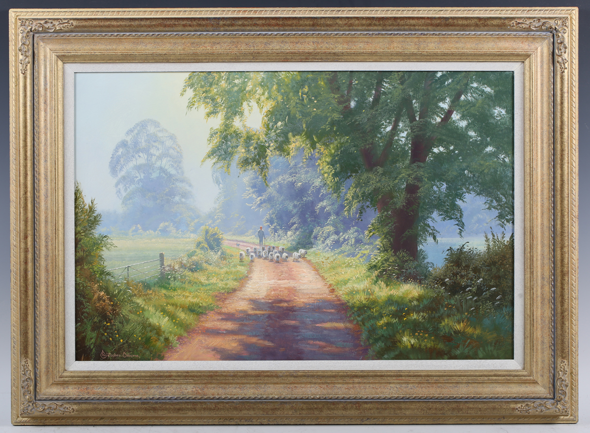 Christopher Osborne - 'Summer Morning', late 20th/early 21st century oil on canvas, signed recto, - Image 15 of 15