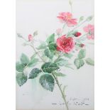 Vernon de Beauvoir Ward - 'Pink Roses' and 'Red Roses', a pair of watercolours, both signed and