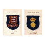 Four albums containing cigarette and trade cards of cricket interest, including 20 BDV silk '