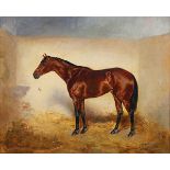 Romanian School - 'Ingram' (Portrait of the Racehorse), oil on canvas, indistinctly signed and dated