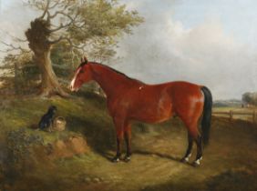 John Duvall - Horse and Dog in a Landscape, 19th century oil on canvas, signed, 44.5cm x 59.5cm,