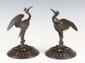 A pair of late 19th century dark brown patinated bronze models of exotic birds, raised on petal