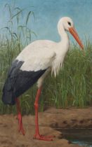 Henry Stacey Marks - White Stork in a Wetland Landscape, 19th century oil on canvas, signed, 96cm