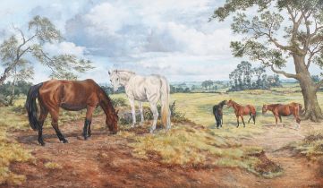 Brian Tovey - Horses in an Extensive Landscape Setting, 20th century oil on canvas, signed, 69cm x