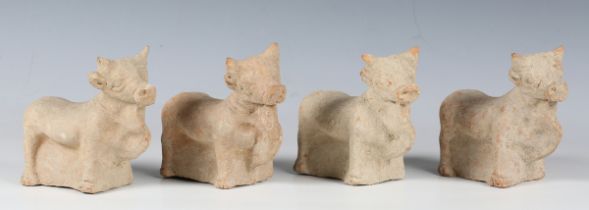 A group of four Hellenistic period terracotta models of standing bulls, circa 300 BC, length 13cm.