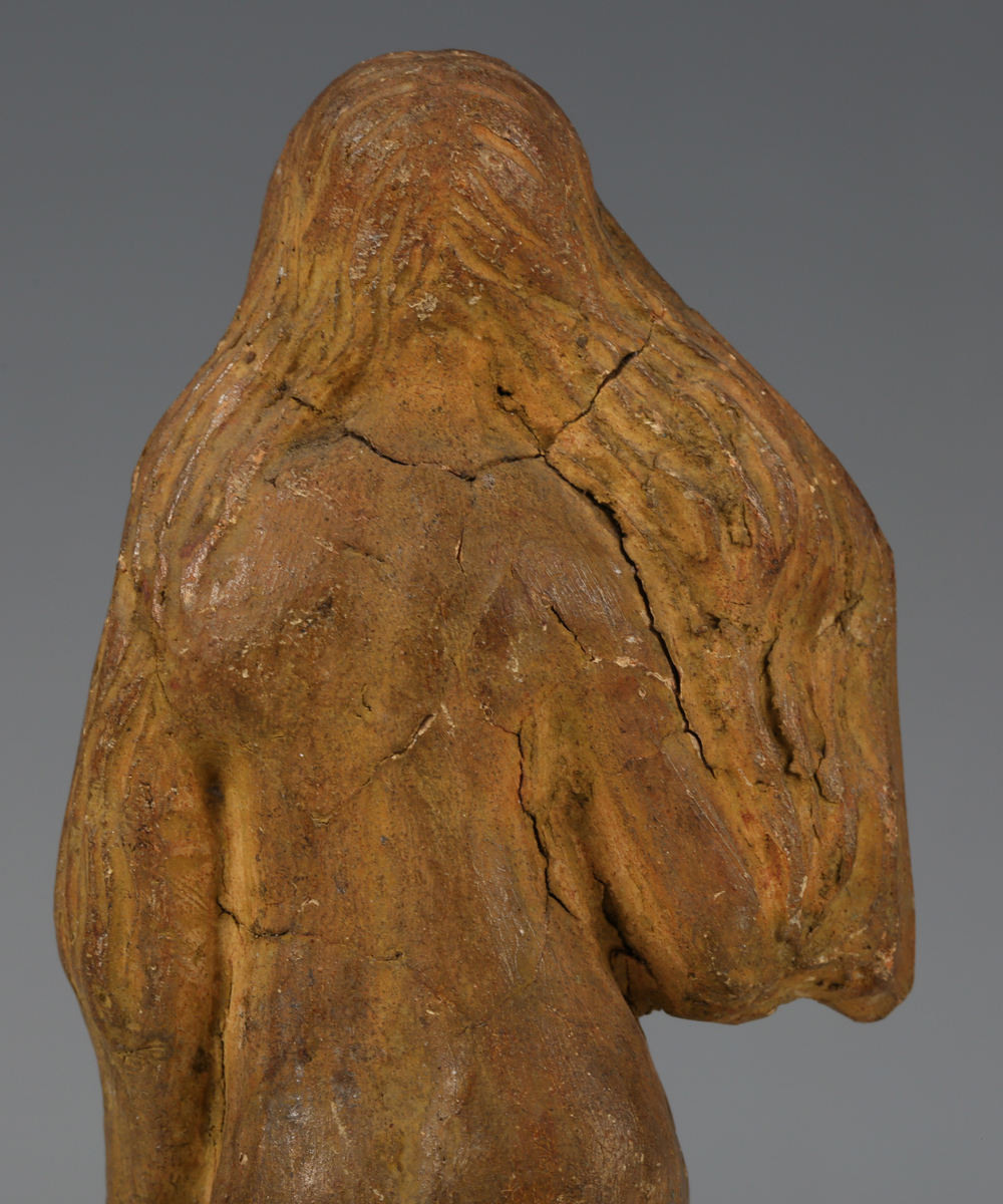 An ancient Roman terracotta full-length figure of a lady with long flowing hair, standing beside a - Image 5 of 13