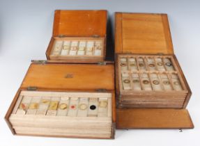 A large collection of microscope specimen slides, including a group with St Mary's Hospital Path.