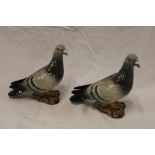 A pair of Beswick china pigeons No.