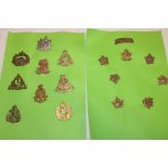 A selection of various Canadian military badges including 51st Canadian Soo Rifles, 10th Canadians,