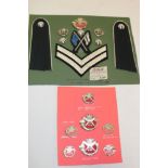 Two displays of DCLI badges and insignia including No.