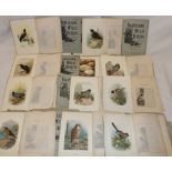 A selection of Swaysland's Familiar Wild Birds illustrated journals, colour illus.