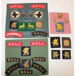 A selection of DCLI shoulder titles,