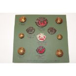 A display of DCLI Officer's badges and insignia including bronze cap badge,