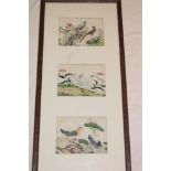 Three Chinese watercolours on silk depicting various Eastern birds,