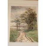 Thomas Ambrose - watercolour Shepherd with sheep on a path, signed and dated '02,