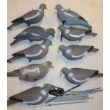 Nine full body pigeon decoys with stakes