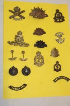 Various military badges and insignia including Motor Machine Gun Corps, New Zealand Artillery,