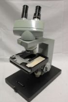 A binocular microscope by Watson on rectangular base