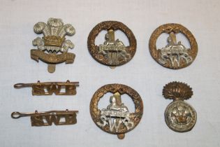 A display of Welsh military cap badges including the Royal Welch Fusiliers, South Wales Borderers,