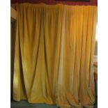 Two rich yellow velvet curtains, lined and interlined, pleated headings. One curtain 86cm wide x