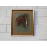 MARJORIE COX (1915-2003): A framed and glazed pastel portrait of a horse, Brandon Capability, signed