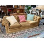 Wade upholstery classic style gold velour button back Chesterfield sofa with feather filled seat