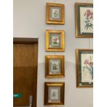 A series of four gilt framed floral specimen prints, framed, 35cm x 31.5cm