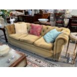 A Wade upholstery classic style gold velour button back Chesterfield sofa with feather filled seat