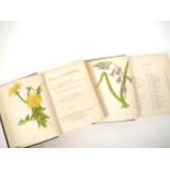 Anne Pratt: 'Wild Flowers', London, S.P.C.K., c.1857, 2 volumes, volume 1 without title page, 192