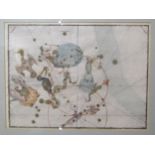 A 17th/18th Century coloured etching depicting star constellations "Southern Birds" after Johann
