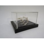 A boxed skeleton of a frog 8cm x 13cm x 13cm