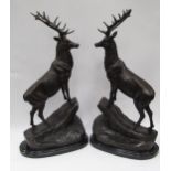 A pair of bronze Highland stags on rocky mount on marble base, 67cm tall