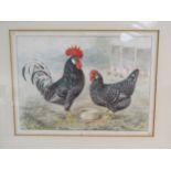 JOSEPH W. LUDLOW (1840-1915): A pair of Victorian watercolours of cockerels and hens, framed and