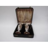 A Walker and Hall silver two piece sugar castor and cream jug set, Rd 713654 Sheffield 1963,