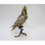 A cold painted bronze cockatoo after Bergmann, Geshutzt stamped to tail feathers, 30cm tall