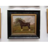 WILLIAM ALBERT CLARK (1880-1963): An oil on board of a black stallion, signed bottom left and