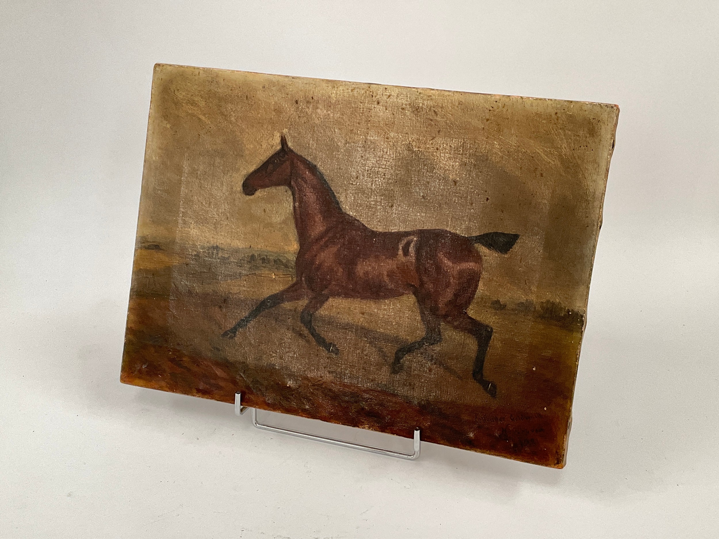 COLLENDER GOLDSMITH; A 19th Century oil on canvas of an Arab horse in landscape setting, signed
