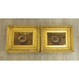 A Pair of 19th Century oil on canvas studies of Bird's Nests in a naturalistic setting. Unsigned