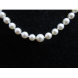 A single strand graduated pearl necklace, 43cm long with 14k white gold clasp