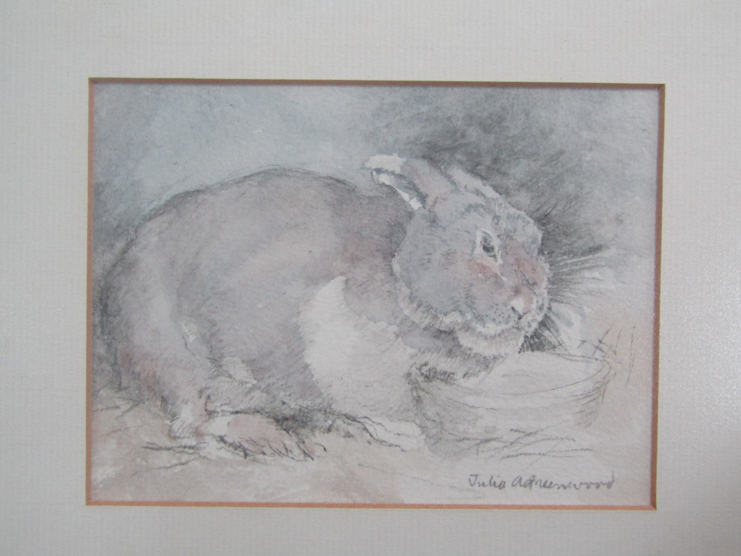 JULIA GREENWOOD (1951-2010) framed and glazed water colour on paper of a rabbit. Artist has exibited - Image 2 of 3