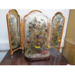 A Victorian group of taxidermy exotic birds in naturalistic setting encased in large glass dome on