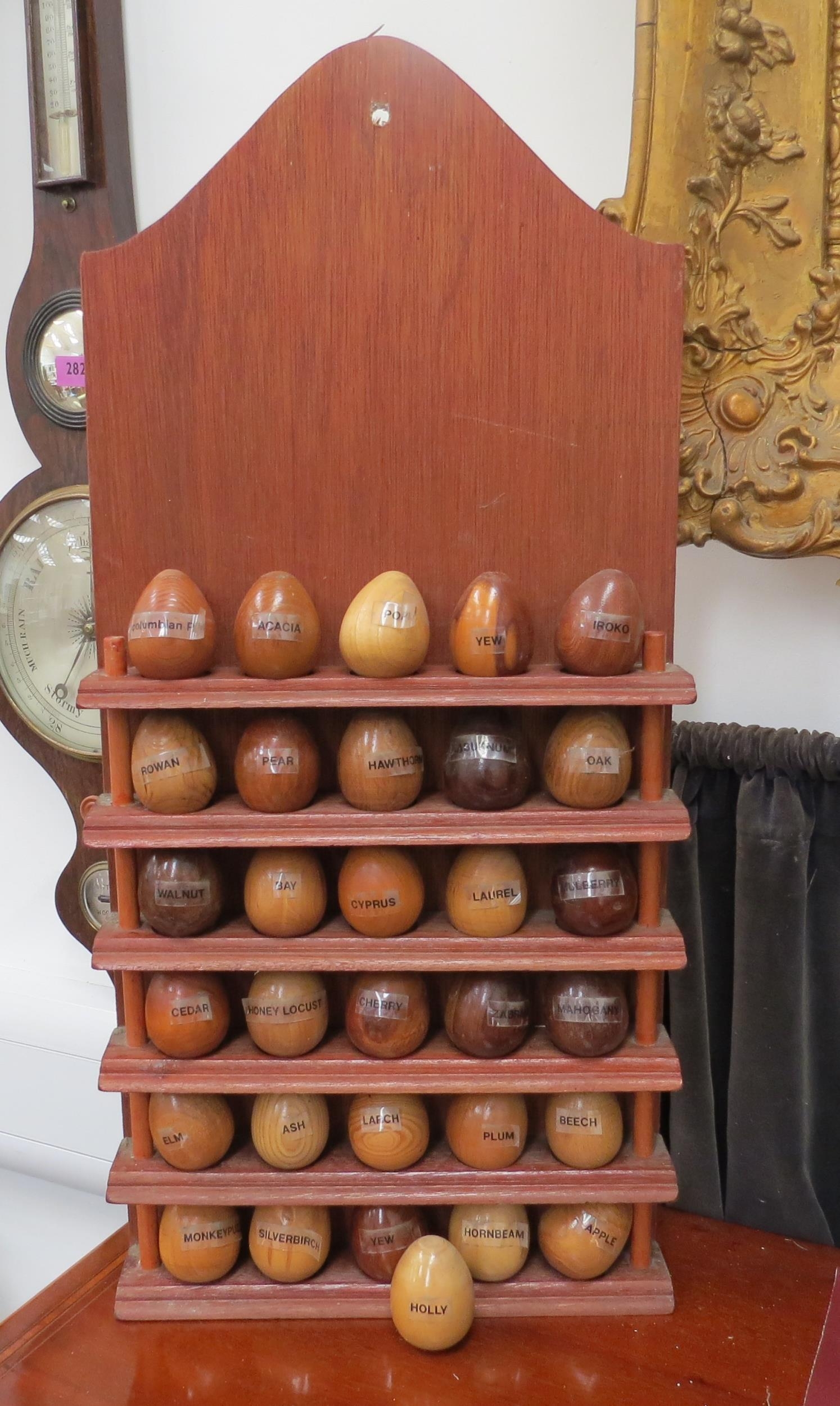 A wall hanging display of named specimen wood eggs, 26 in total