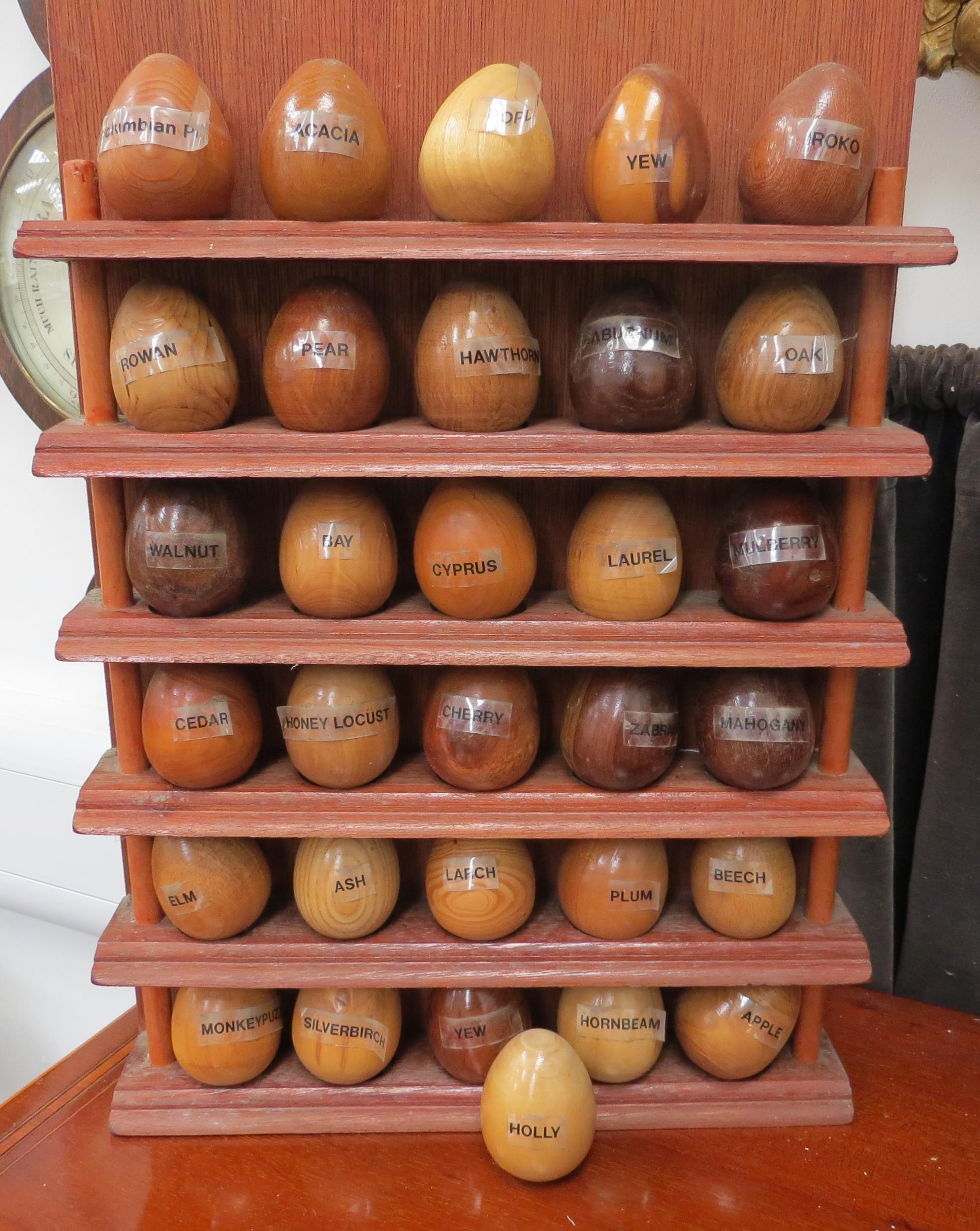 A wall hanging display of named specimen wood eggs, 26 in total - Image 2 of 2